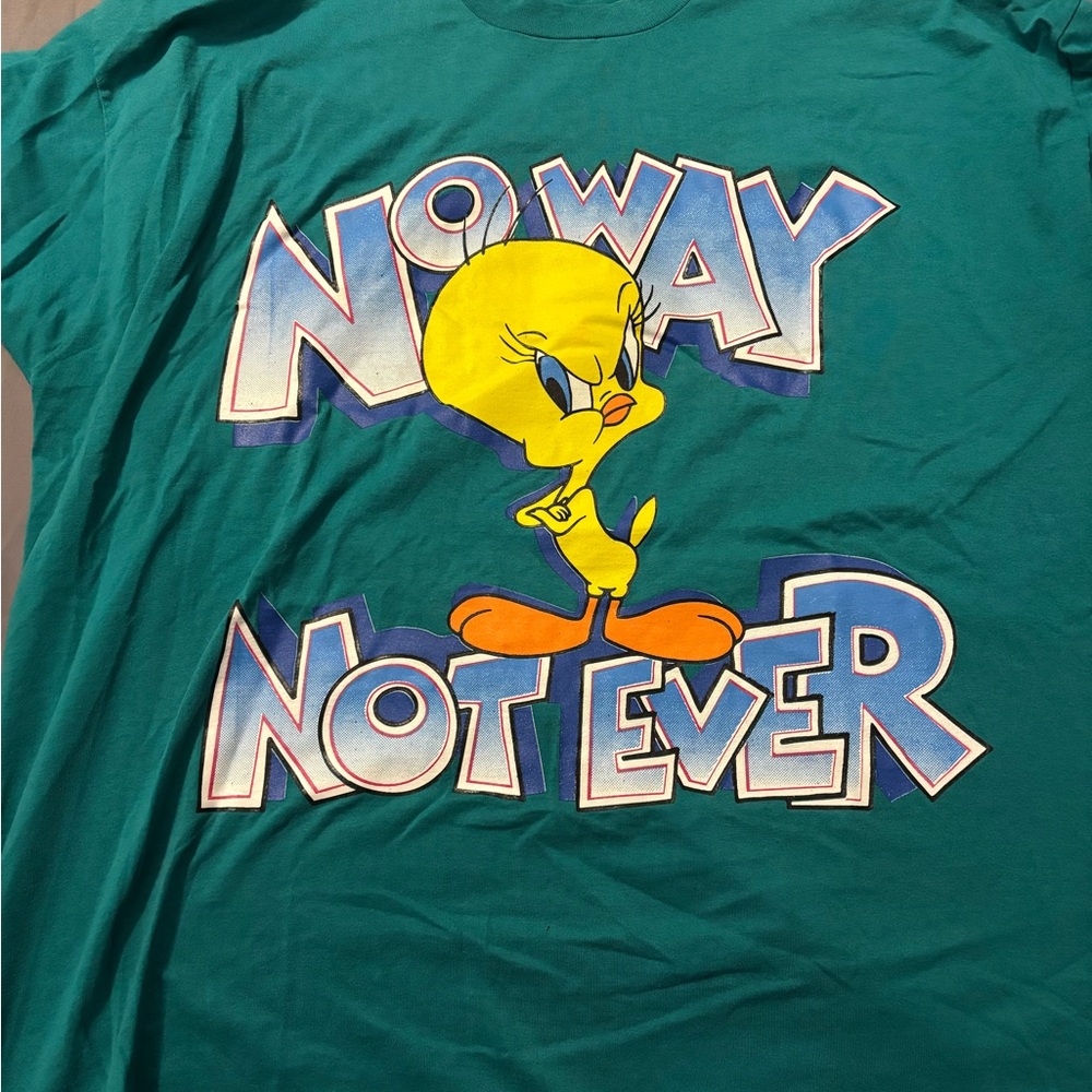Looney Tunes Teal T-Shirt vintage